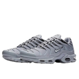 Air Max TN Plus Wolf Grey 2