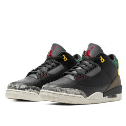 Air Jordan 3 Retro SE Animal Instinct 2.0 2